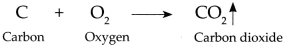 Maharashtra Board Class 9 Science Solutions Chapter 13 Carbon An Important Element 21