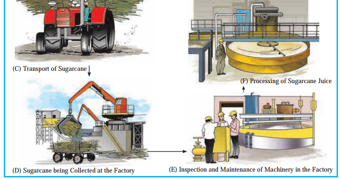 Maharashtra Board Class 6 Geography Solutions Chapter 10 Human Occupations 2