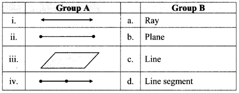 Maharashtra Board Class 6 Maths Solutions Chapter 1 Basic Concepts in Geometry Practice Set 1 3