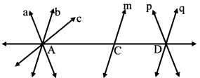 Maharashtra Board Class 6 Maths Solutions Chapter 1 Basic Concepts in Geometry Practice Set 1 4