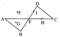 Maharashtra Board Class 6 Maths Solutions Chapter 1 Basic Concepts in Geometry Practice Set 1 16