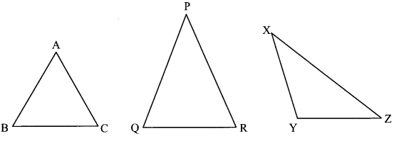 Maharashtra Board Class 6 Maths Solutions Chapter 15 Triangles and their Properties Practice Set 36 5