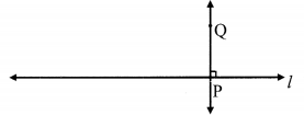 Maharashtra Board Class 6 Maths Solutions Chapter 17 Geometrical Constructions Practice Set 39 2