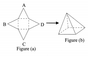 Maharashtra Board Class 6 Maths Solutions Chapter 18 Three Dimensional Shapes Practice Set 41 5