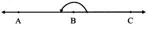 Maharashtra Board Class 7 Maths Solutions Chapter 4 Angles and Pairs of Angles Practice Set 18 4