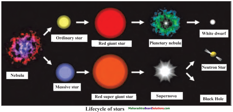 Maharashtra Board Class 7 Science Solutions Chapter 20 In the World of Stars 1