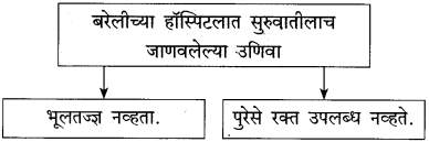 Maharashtra Board Class 10 Marathi Solutions Chapter 11 गोष्ट अरुणिमाची 9